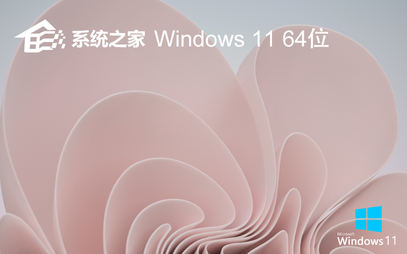 Windows11 64λ ٷ⼤רҵISOϵͳ